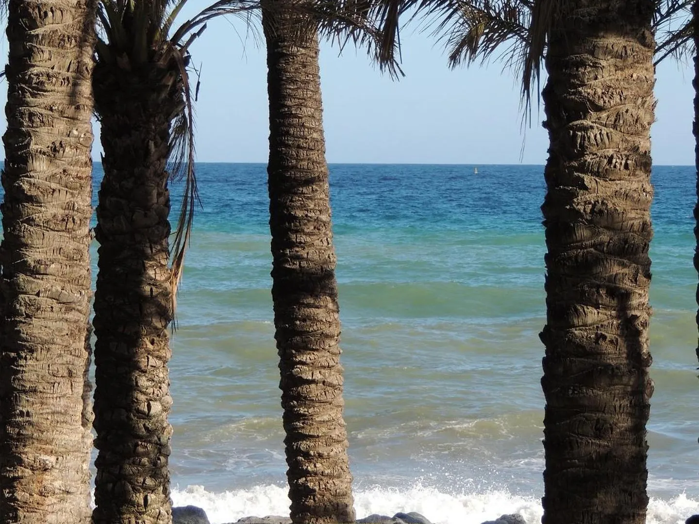 דירה Acogedor Estudio En Torremolinos Centro